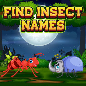 jeu du pendu avec noms d'insectes en anglais