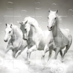 Jeux de PUZZLE DE CHEVAUX