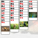 Solitaire avec des Animaux