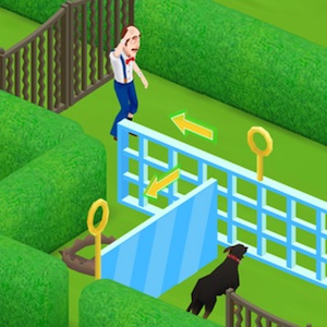 jeu de homescapes