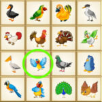 Trouver l’Oiseau Différent