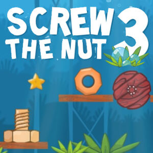 Puzzles de Physique: Screw the Nut 3