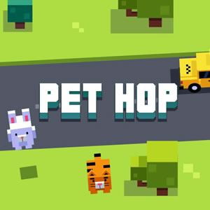 jeu de pet hop circulation de lapin