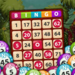 Bingo en ligne interactif