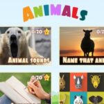 Mini Jeux d’ANIMAUX pour enfants