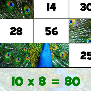 casse-tetes de multiplication