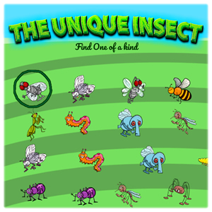 insect unique