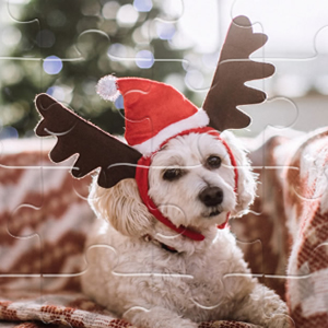 puzzles animaux domestiques à noël