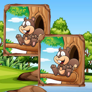 jeu de 5 differences