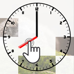 Horloge interactive pour enfants, pour jouer en ligne et apprendre à placer les aiguilles de l'horloge analogique