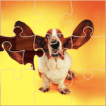 Puzzles Drôles de Chiens