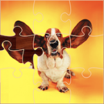 Puzzles Amusants de Chiens