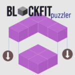 BLOCKFIT PUZZLER: Vision spatiale