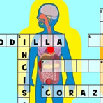 Mots Croisés sur le Corps Humain en Espagnol