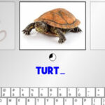Taper au Clavier: les animaux en Anglais