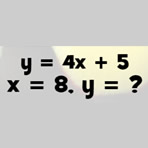 Equation à Deux Variables Puzzle
