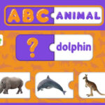 FlashCards Animaux en Anglais