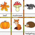 Flashcards de l’Automne en anglais