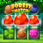 FOREST MATCH: Jeu de Match 3