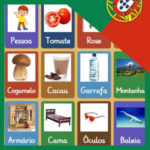 Êtres Vivants et Inertes en Portugais
