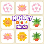 MEMORY MATCH: Jeu de Mémoire Adulte