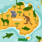 OMBRES d’ANIMAUX: Continents du Monde