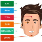 Parties du Visage en Portugais