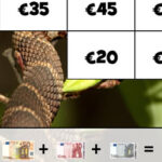 Puzzle avec des Billets de banque en euros