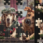 Puzzle du chien de Noël