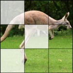 Puzzles 3×3 Animaux