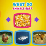 Que Mangent les Animaux?