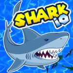 Shark .IO