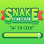 Snake Challenge