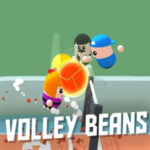 VOLLEY BEANS